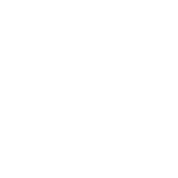 repair-1